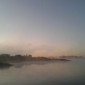 Elbe im Nebel