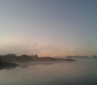 Elbe im Nebel